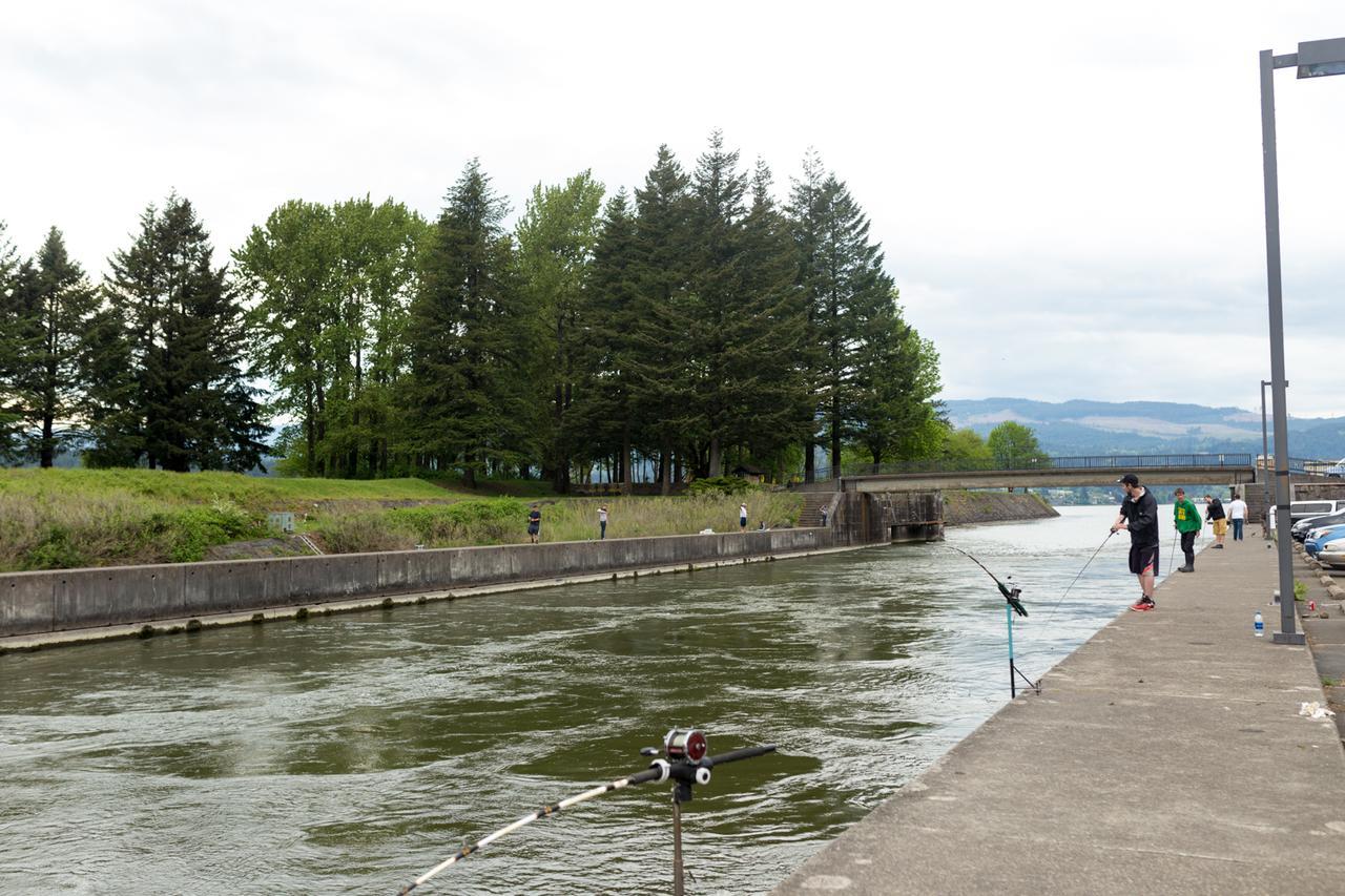 Columbia Gorge Inn Cascade Locks Exteriér fotografie